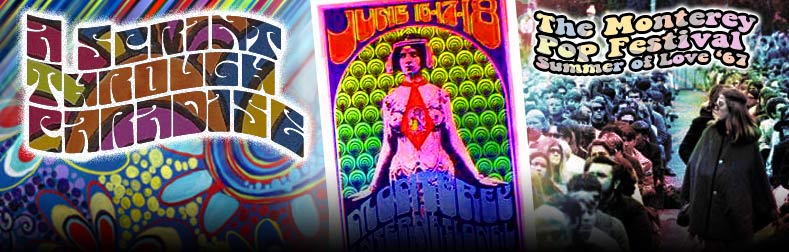 Danny-Faragher-Monterey-Pop-Festival